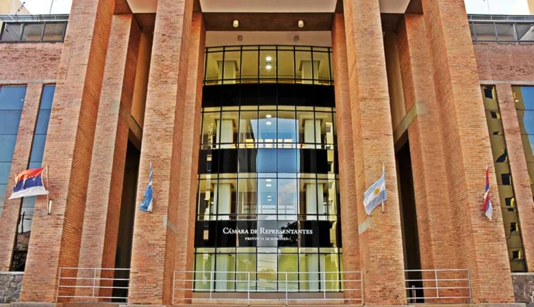 Radiografía Misiones 2025: ¿Cuánto trabajo la Legislatura y quienes son los Diputados que no presentaron ningún proyecto de ley?