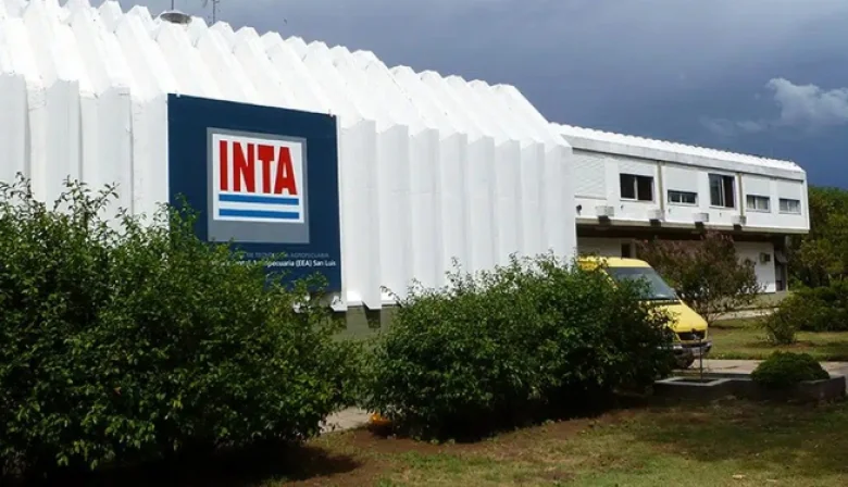 Ajuste en el INTA: Más de 40 trabajadores dejaron el organismo en Misiones y alertan por el impacto en áreas estratégicas