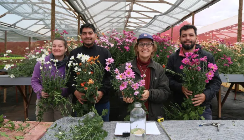 Eldorado: Prueban nuevas tecnologías en hidroponia y floricultura