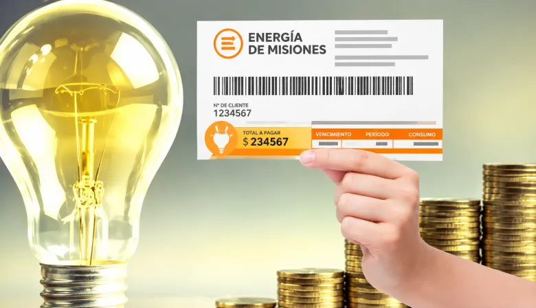 Nuevo régimen de subsidios eléctricos en Misiones