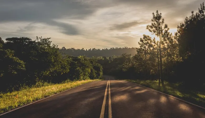 Misiones: estado de las principales rutas y accesos de la provincia