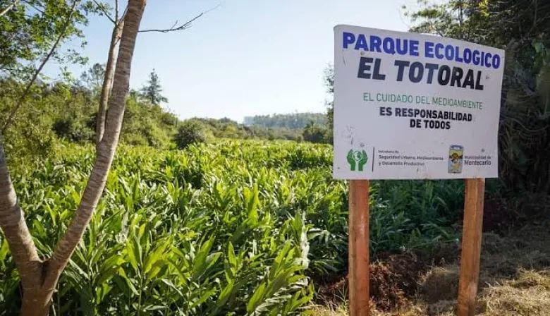 Montecarlo creó un registro para áreas naturales y habrá beneficios para privados