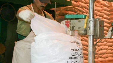 Yerba mate: las exportaciones aumentaron un 11,4% entre enero y agosto