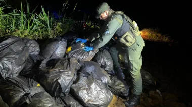 Misiones: GN incauta más de 526 kilos de marihuana