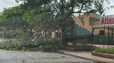 Montecarlo: Fuerte temporal de viento y lluvia dejo casas sin techo, arboles y postes de energia caidos.