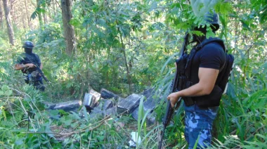 Colonia Mado: Policía encuentra cerca de dos toneladas de marihuana