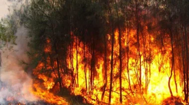 Misiones: Alto riesgo de peligrosidad en incendios forestales