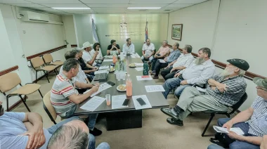 Yerba en crisis: Misiones desafía la desregulación con una mesa Permanente