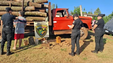 Jardin América: Cayeron con las manos en la madera, frustran robo de rollos nativos