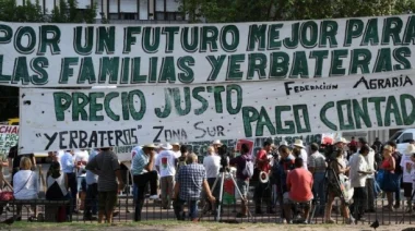 Misiones: Productores yerbateros denuncian penalmente al presidente Javier Milei por abandonar al sector