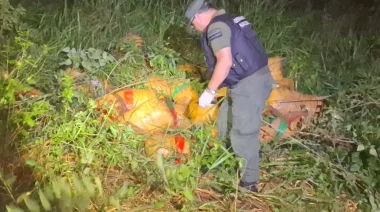 Colonia Delicia: GN incauta 1.221 kilos de marihuana valuados en más de 3 mil millones