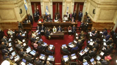 El Senado debatirá esta semana el proyecto de Ficha Limpia