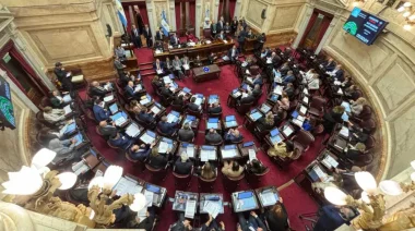 El Senado rechazó Ficha Limpia