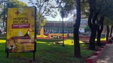 Continúa el paro de ATE: Jueves sin atención en el hospital Samic de Eldorado