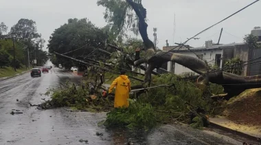 Temporal en Misiones: cortes de luz y daños tras ráfagas de hasta 116 km/h