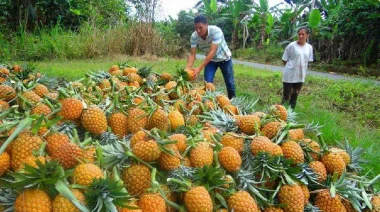 Elvani Goring, candidata del PAyS: “Misiones es rica, pero su gente no tiene trabajo”