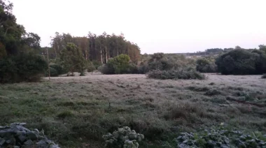 Misiones: Frío intenso en toda la provincia