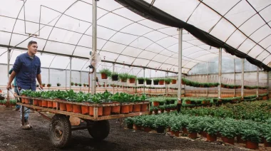 Misiones lanza créditos especiales para fortalecer la floricultura y viveros productivos