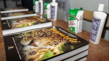 Yaguareté: vida, leyenda y esperanza, el libro de Nicolás Lodeiro Ocampo que busca informar y concientizar