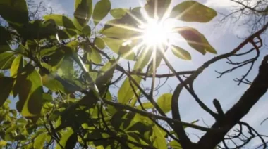 ¡El sol se queda en Misiones! Jornada agradable para este jueves