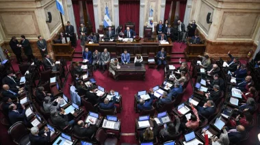 Senado convierte en ley la emergencia en discapacidad tras invalidar el veto de Milei