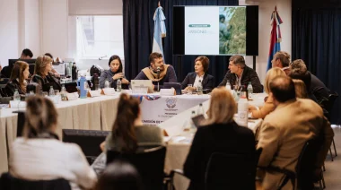 Legislatura de Misiones: Este lunes continuara el análisis del presupuesto provincial 2026