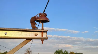Ni ladrones ni fallas técnicas: fue una comadreja la culpable del apagón electrico en El Alcázar