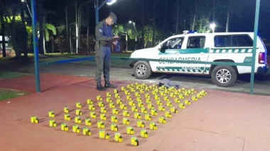 Gendarmería secuestró ketamina valuada en $64.800.000 en zona de frontera de Iguazú
