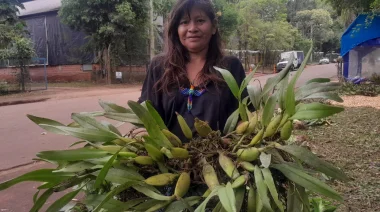 La voz de los Mbya Guaraní en la Fiesta Nacional de la Orquídea y Provincial de la flor