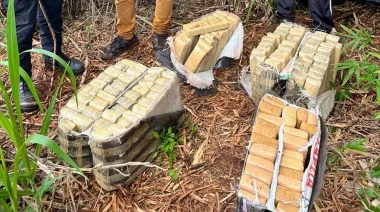 Buscaban a un hombre desaparecido en Jardín América y encontraron 100 kilos de marihuana en un tacuaral