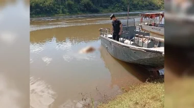 Terror en el río Paraná: Investigan el hallazgo de un cadáver en Puerto Libertad