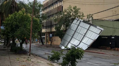 Violento temporal azotó Posadas: Árboles caídos, techos arrancados y calles anegadas