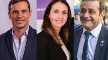 Herrera Ahuad, Hartfield y Gruber: Los diputados nacionales electo ya juraron sus bancas