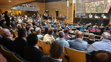 Tras los cambios de la Legislatura de Misiones: La representación femenina queda relegada a un segundo plano