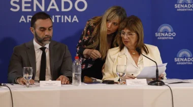 El Gobierno posterga el debate de la reforma laboral y lo llevará al Senado el 10 de febrero