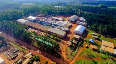 La Cooperativa Yerbatera Andresito atraviesa una crisis financiera y suspende pagos a sus productores