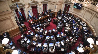 Este viernes: El Senado pone en debate el Presupuesto 2026