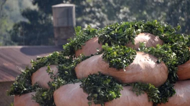 Cooperativas respaldan a productores yerbateros y exigen al INYM mejorar el precio de la hoja verde