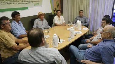 Nuevas resoluciones del INYM endurecen sanciones y obligaciones para operadores yerbateros en Argentina