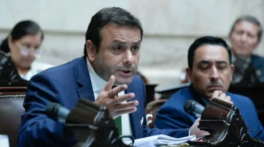 Herrera Ahuad presentó en el Congreso un pedido de informes a Nación por la desregulación del INYM