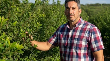 El presidente del INYM niega la crisis yerbatera en la provincia de Misiones: “Los precios se establecen por oferta y demanda”
