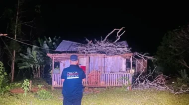 Tragedia en Misiones: Una beba de 3 meses murió tras la caída de una rama sobre su vivienda en El Soberbio