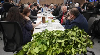 La crisis yerbatera llegó al Congreso con fuertes críticas al DNU desregulador