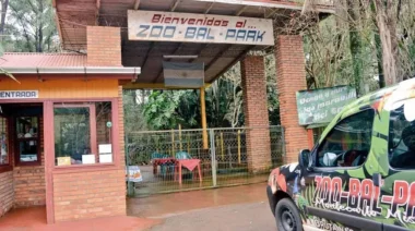 “Esto comenzó antes de la viralización del video”: ¿Qué dijo Ecología sobre el futuro del Zoo-Bal-Park tras la reciente denuncia y 