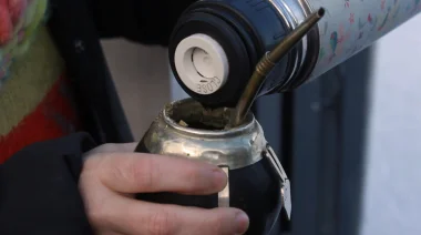 Científicos de la UBA investigan cómo el mate podría ayudar a retrasar el Parkinson