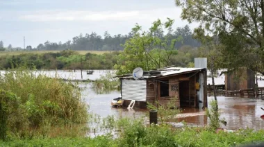 Fenómeno 