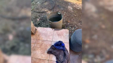 Tragedia en Puerto Iguazú: Investigan la muerte de un niño de 1 año tras un accidente doméstico