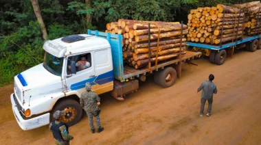 Misiones creó un Registro Provincial de Infractores Ambientales que restringirá permisos a empresas y así proteger bosques nativos