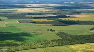 El oficialismo busca separar la Ley de Tierras del debate del DNU en Diputados