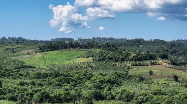 El INTA y 120 familias agricultoras impulsan la restauración de la Selva en San Pedro
